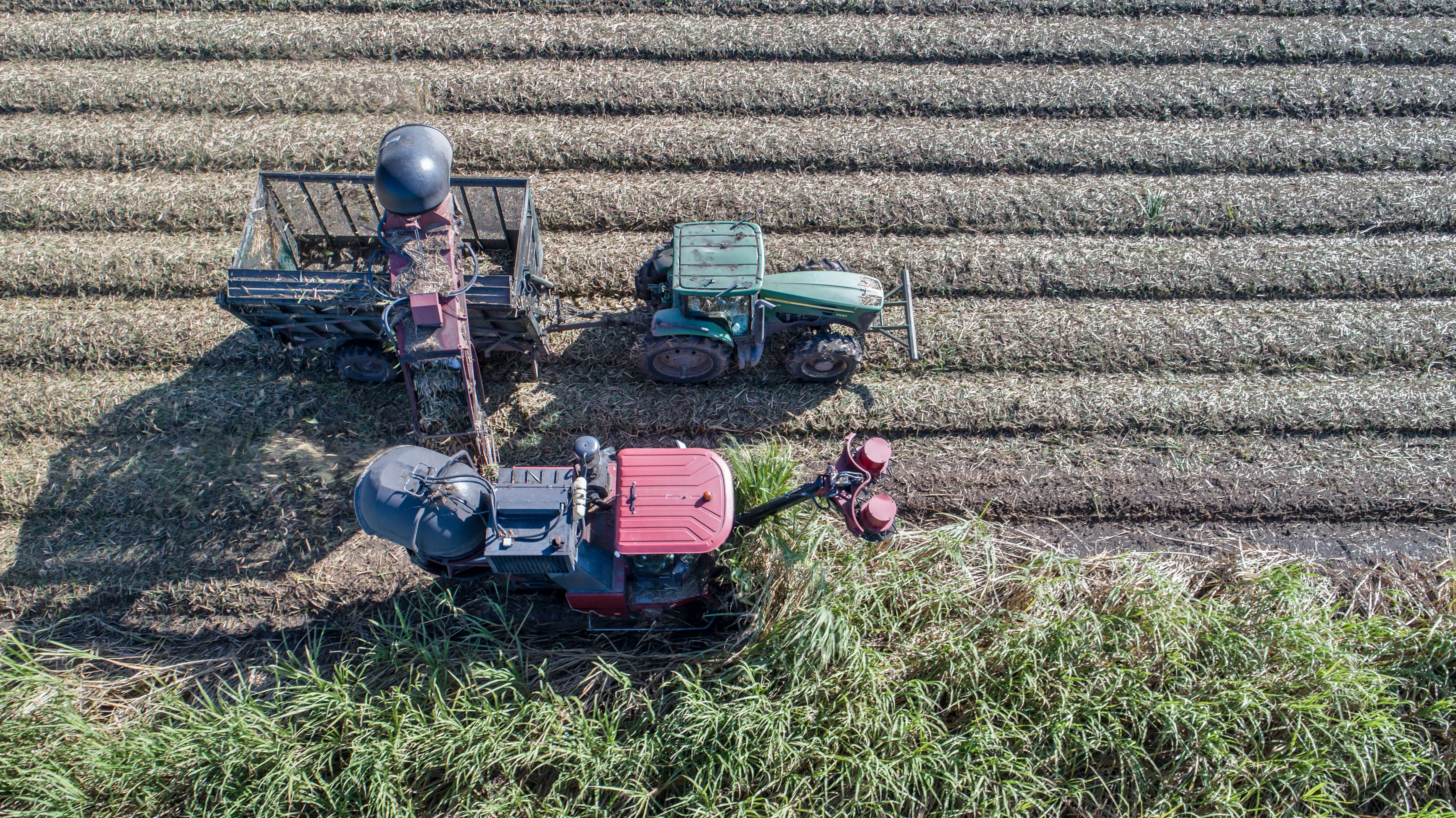 Agricultural Harvest Field Survey Aerial Shot
